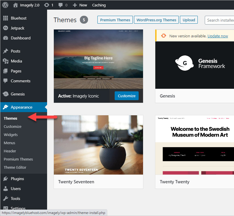 Managing Your WP Themes