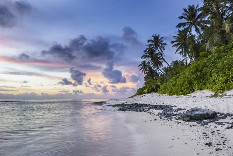 Beach Sunset