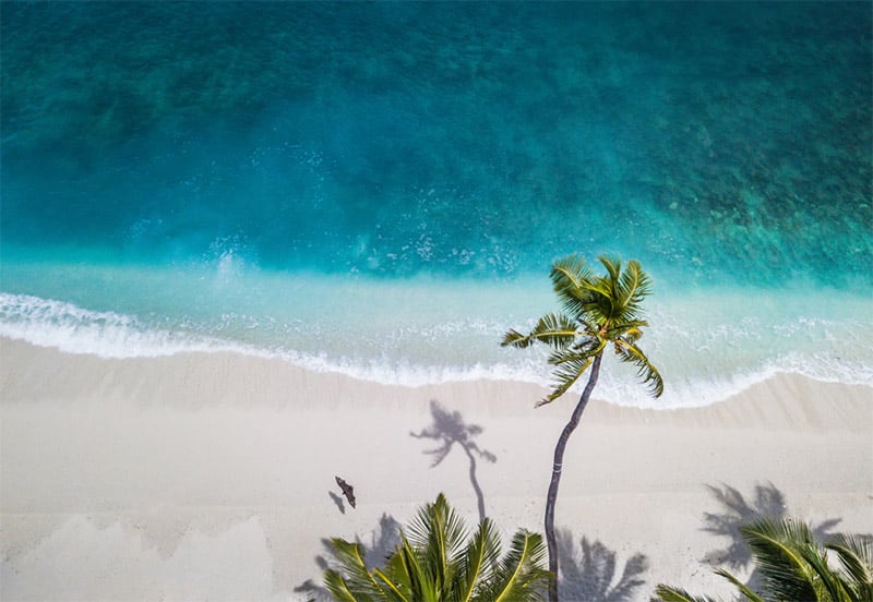 Summer background - Beach from Above