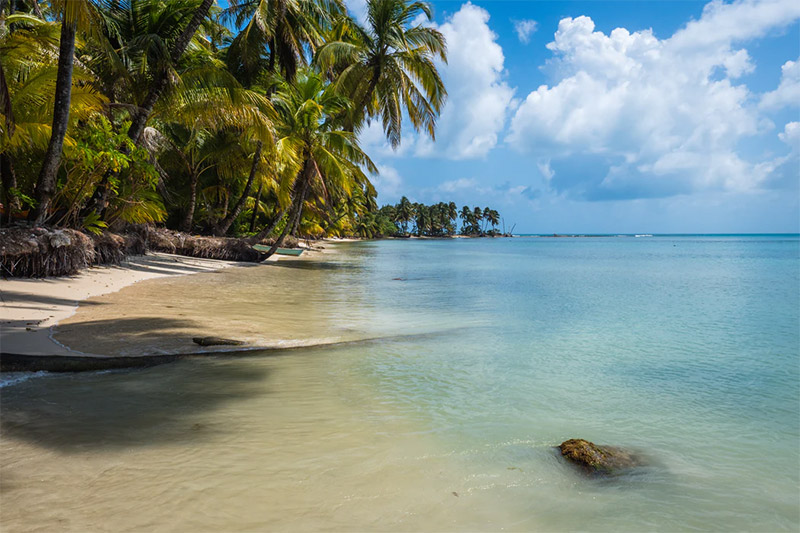 Coastal Scene