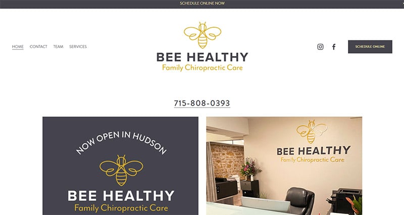 Bee Healthy Chiropractic