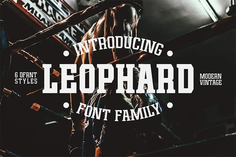 Block Letter Fonts - Leophard