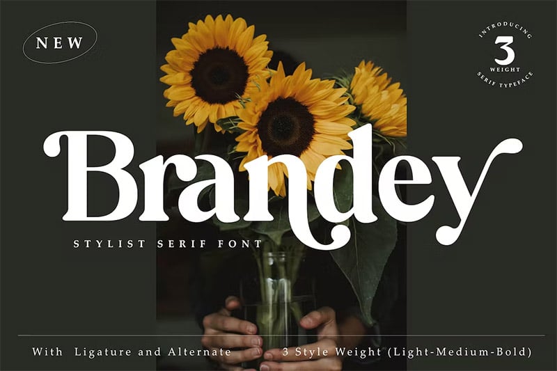 Brandey