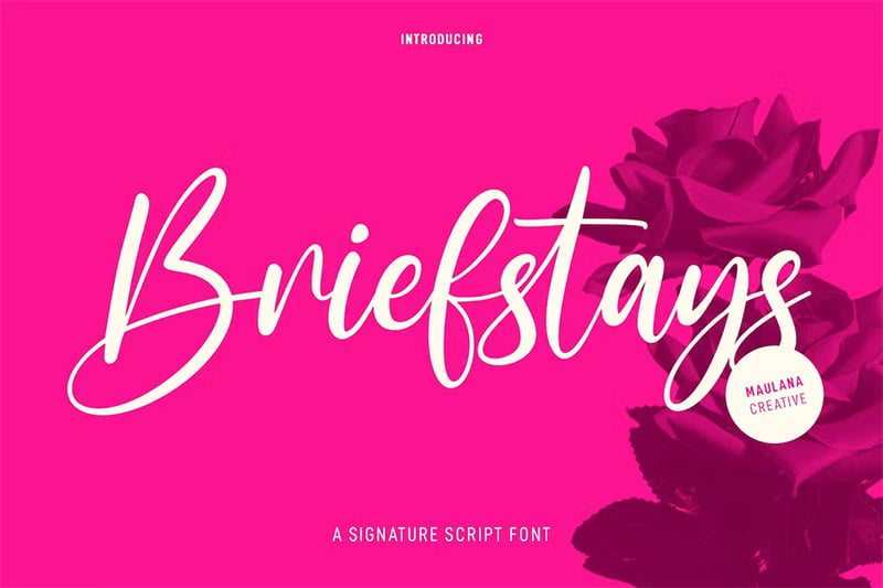 Briefstays Curvy Script Font