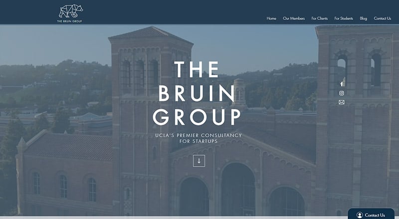 The Bruin Group