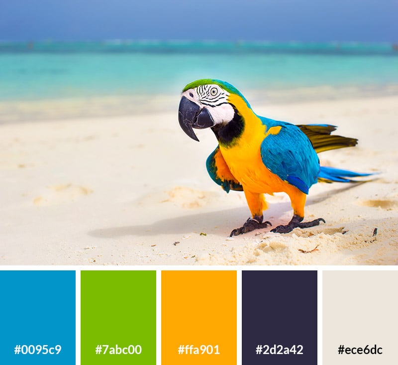 Colorful Parrot - Summer Color Palette