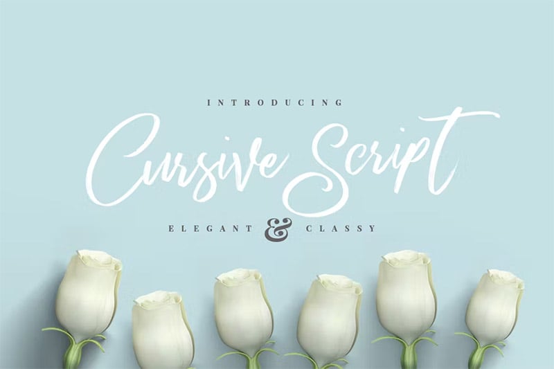 Cursive Brush Script