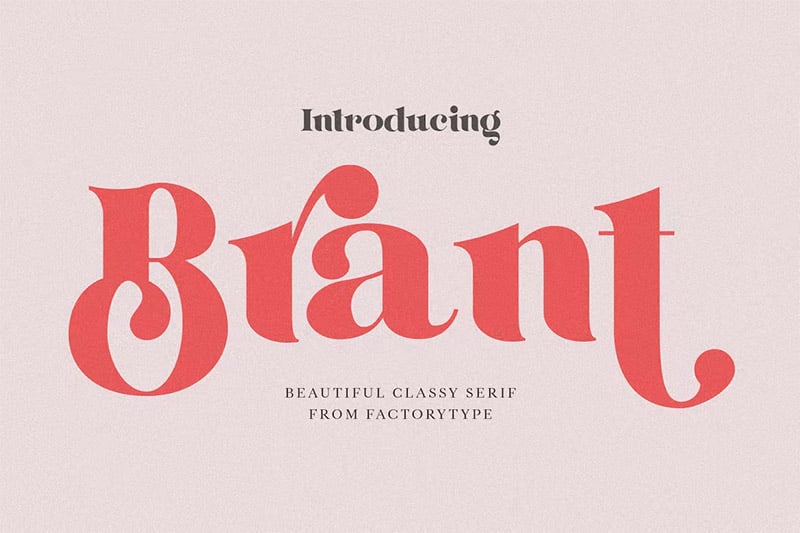 Curvy Fonts - Brant