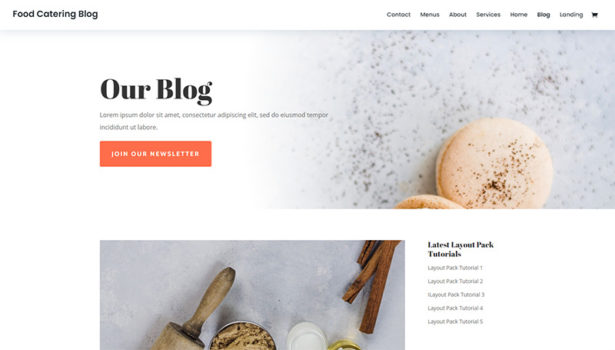 Divi WordPress Theme