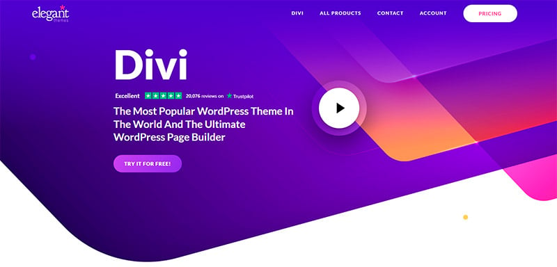 Best WordPress Portfolio Theme - Divi