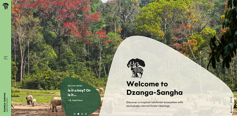 Dzanga-Sangha