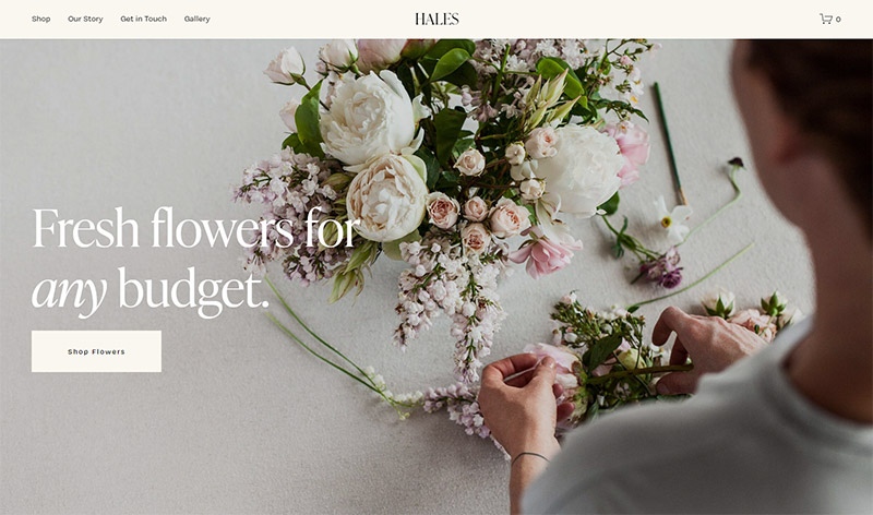 Best Squarespace Templates - Hales