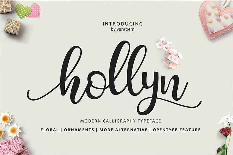 Hollyn Script