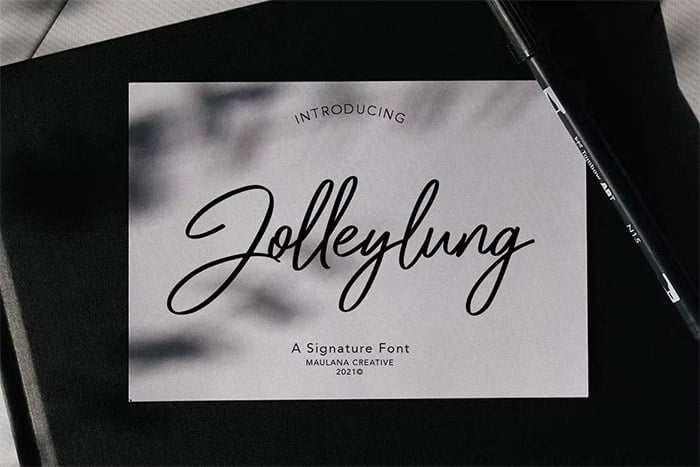 Jolleylung