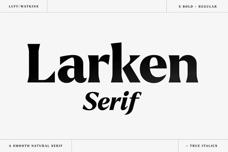 Larken - Thick Display Serif