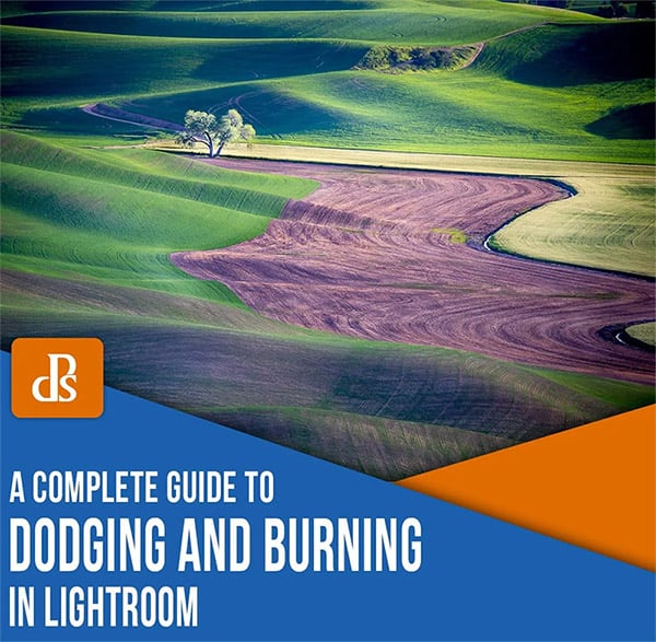 A Complete Guide to Dodging and Burning in Lightroom