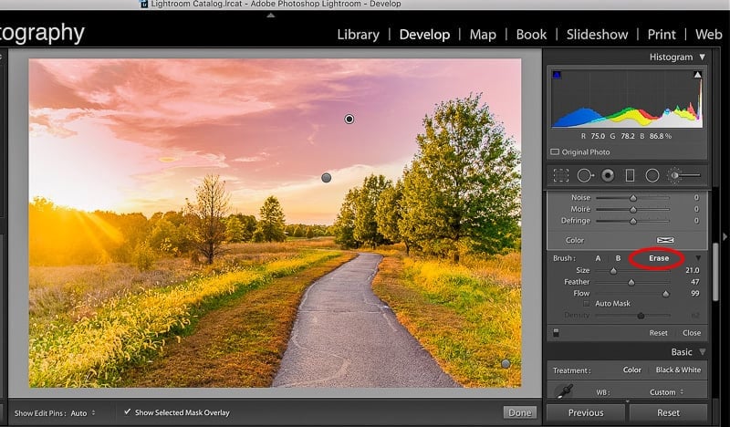 Simple Tips for Using the Lightroom Adjustment Brush Tool