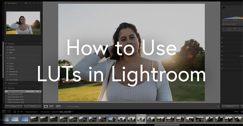 How to Use LUTs in Lightroom