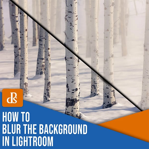 How to Blur the Background in Lightroom