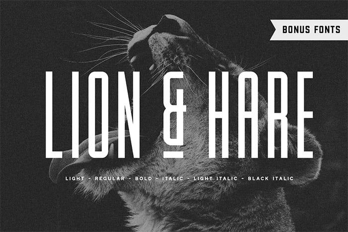 Lion & Hare