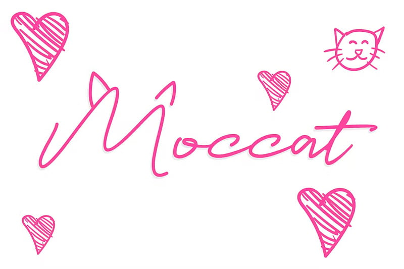 Moccat