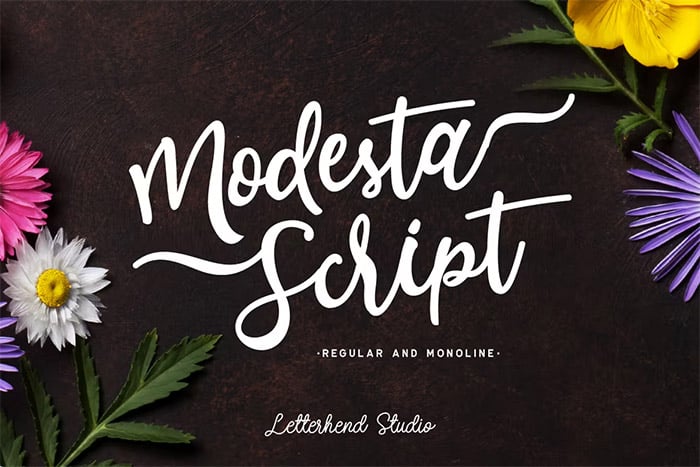 Modesta Script