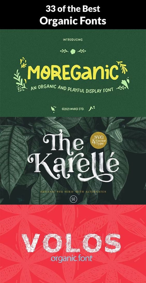 33 of the Best Organic Fonts - Image for Pinterest