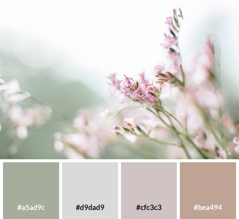 Color code for floral pastels