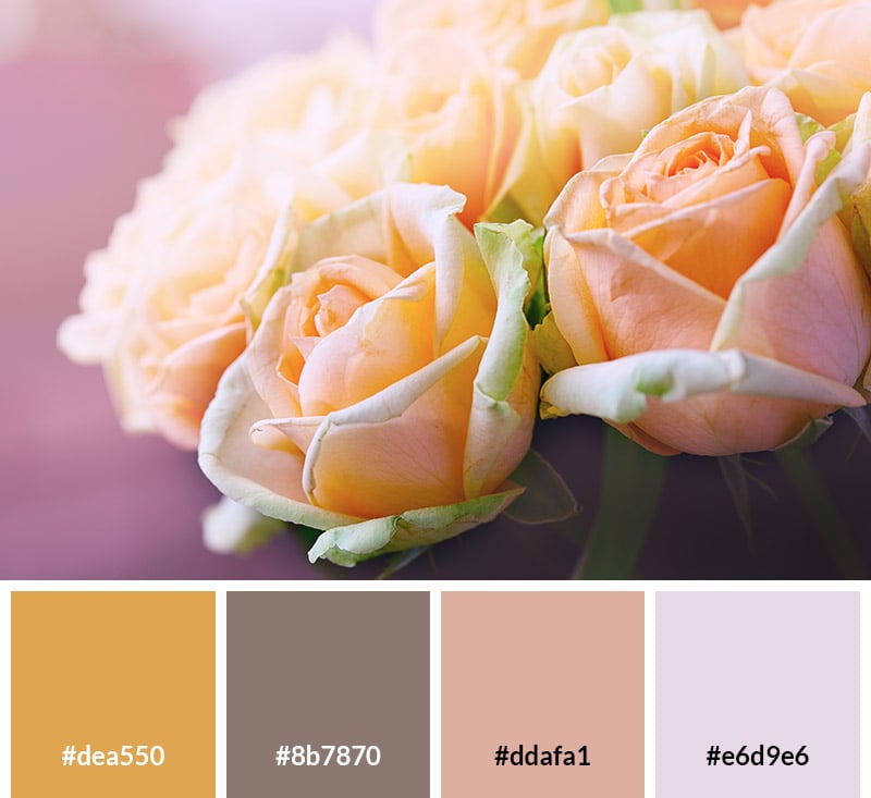 Pastel Roses