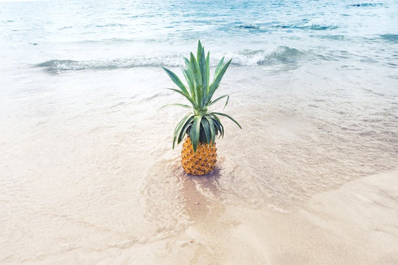 Pineapple on the Beach