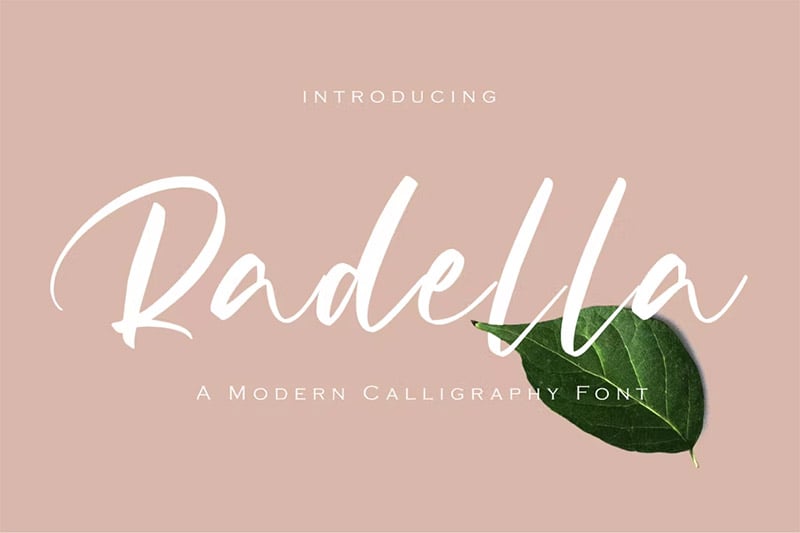 Radella Calligraphy Font