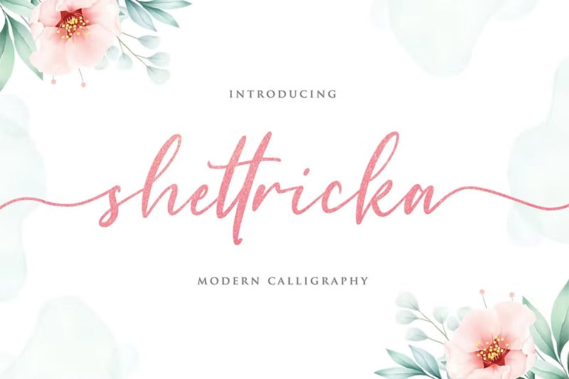 Shettricka - Modern Calligraphy