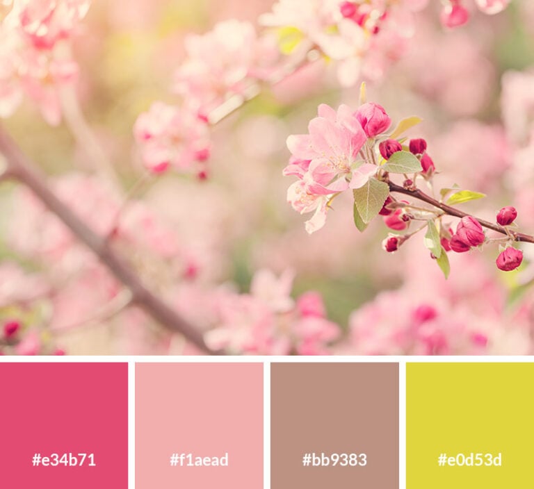 17 Spring Color Palettes (with Hex Codes) for Your Designs