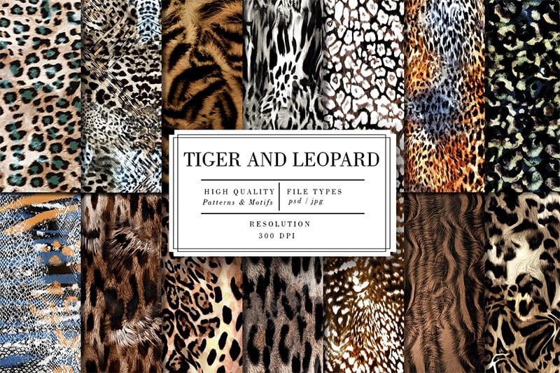 Tiger and Leopard Patterns