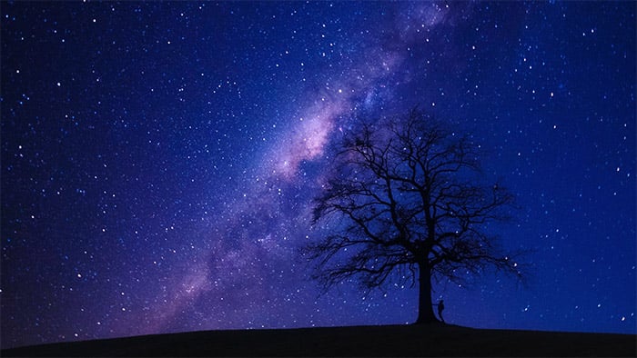 Tree and Stars