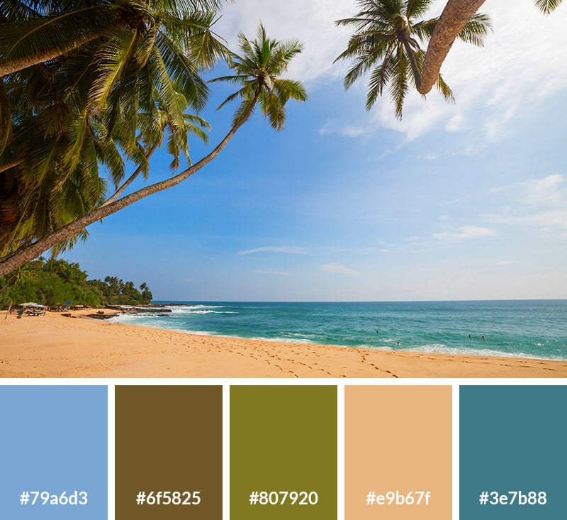 Tropical Beach Color Palette