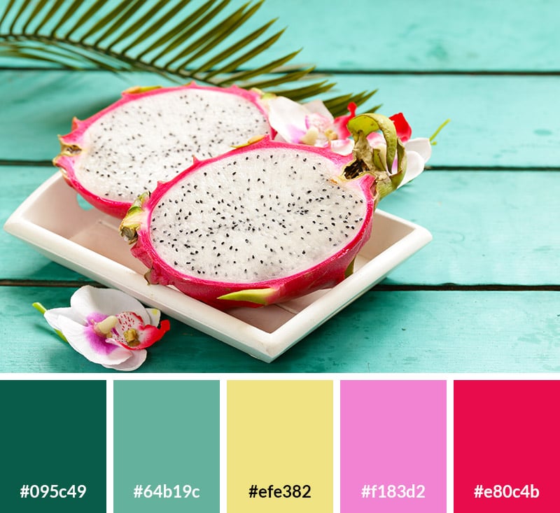 Tropical Fruit - Summer Color Palette