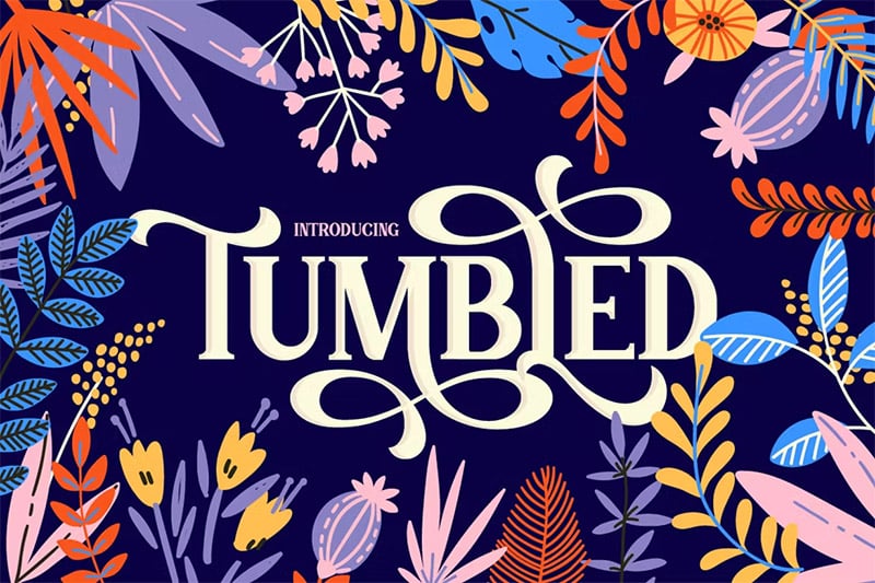 Tumbled - Whimsical Serif Font