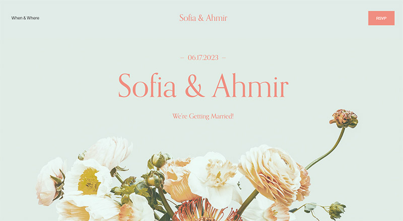 Wedding Website Examples - Sofia and Ahmir