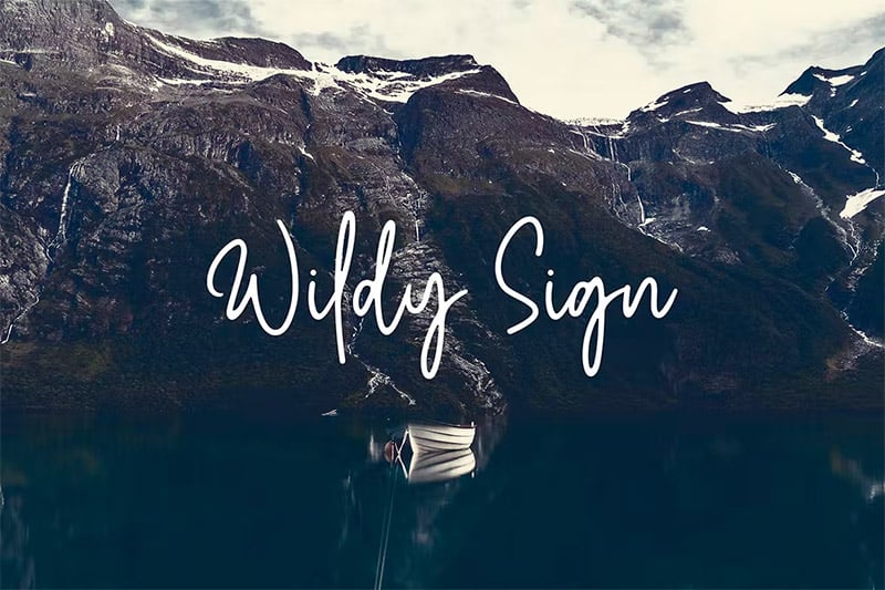 Wildy Sign