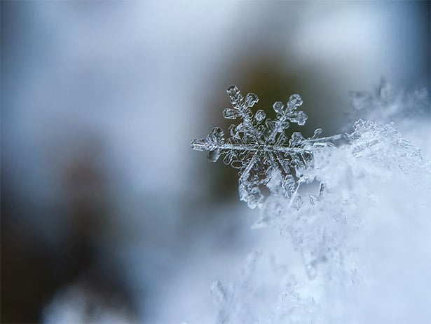 Snowflake Macro Free Winter Wallpaper