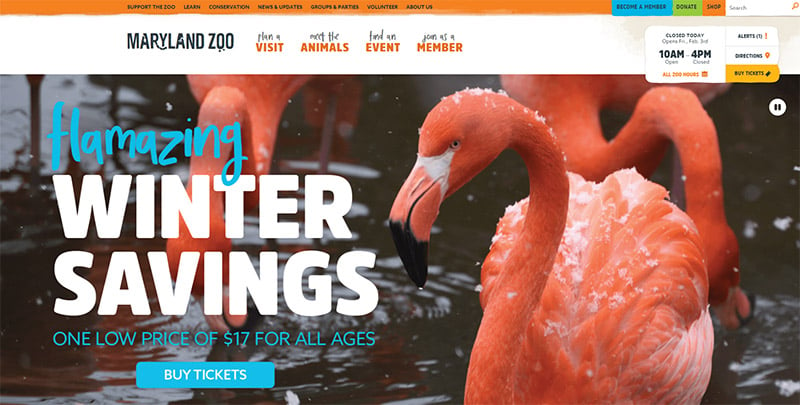 Zoo Websites - Maryland Zoo